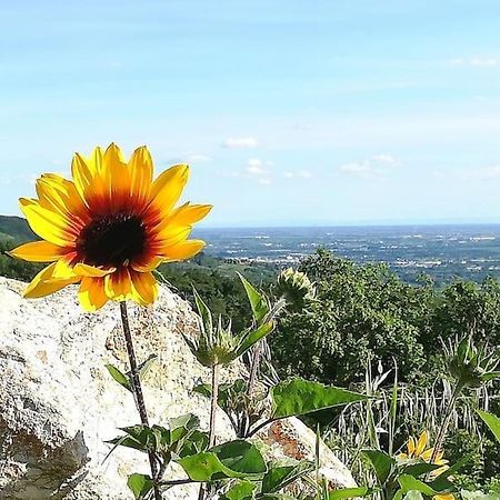 B&B Ca Montemezzano Verona Dış mekan fotoğraf