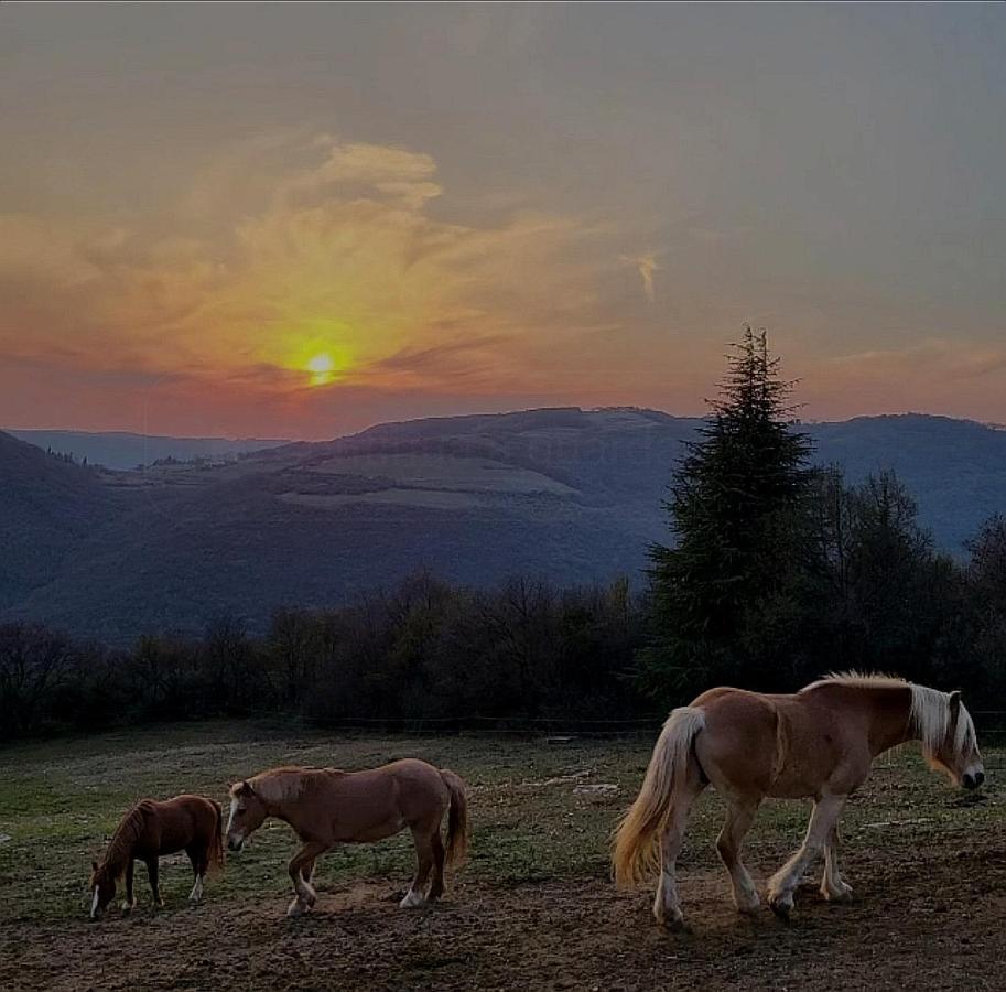 B&B Ca Montemezzano Verona Dış mekan fotoğraf